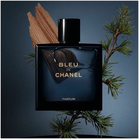 bleu de parfum chanel|bleu de chanel best price.